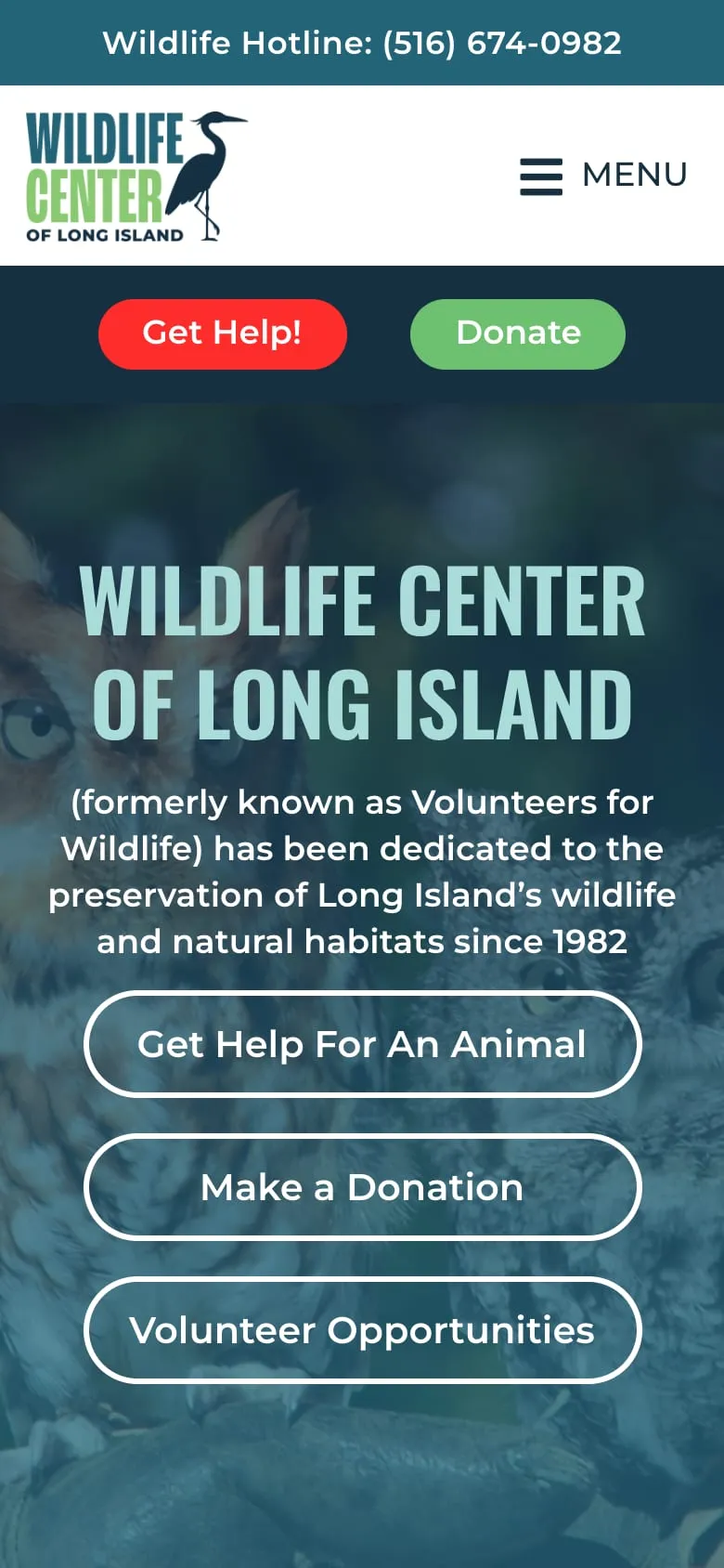 The Wildlife Center of Long Island website on a phone